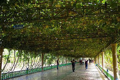 《星球大战绝地：幸存者》付费MOD：达斯维达